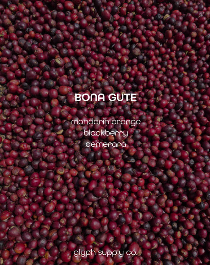 Bona Gute Ethiopia (Espresso)