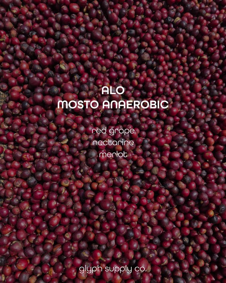 Alo Mosto Anaerobic Ethiopia