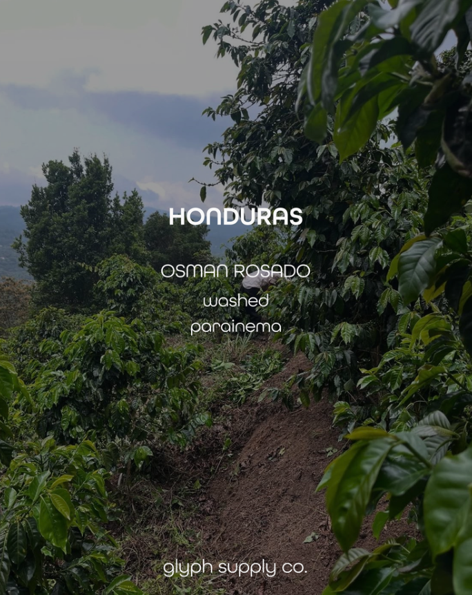 Osman Rosado Honduras (Espresso)