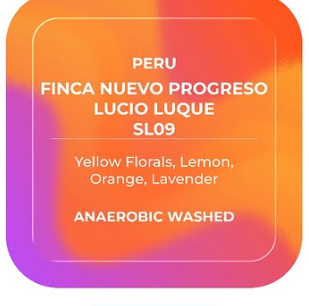 Finca Nuevo Progreso Lucio Luque SL09