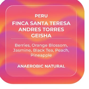 Finca Santa Teresa Andres Torres Geisha
