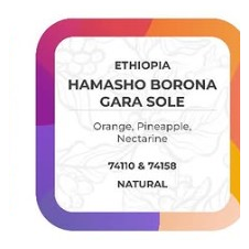 Hamasho Borona Gara Sole