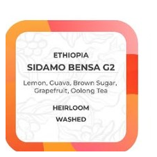 Sidamo Bensa G2