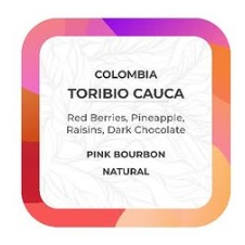 Toribio Cauca