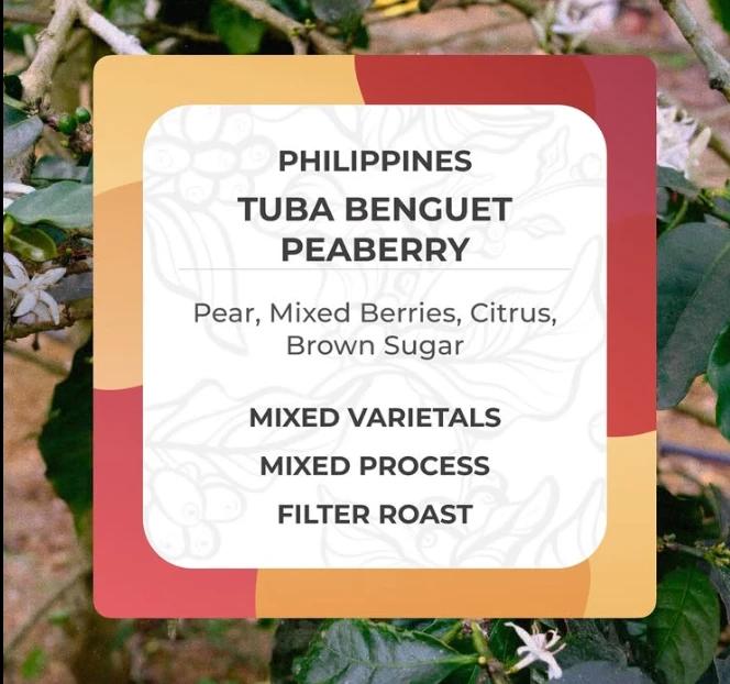 Tuba Benguet Peaberry