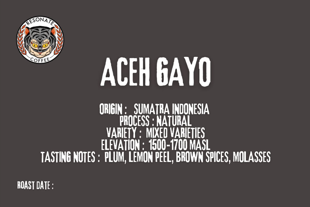 Aceh Gayo