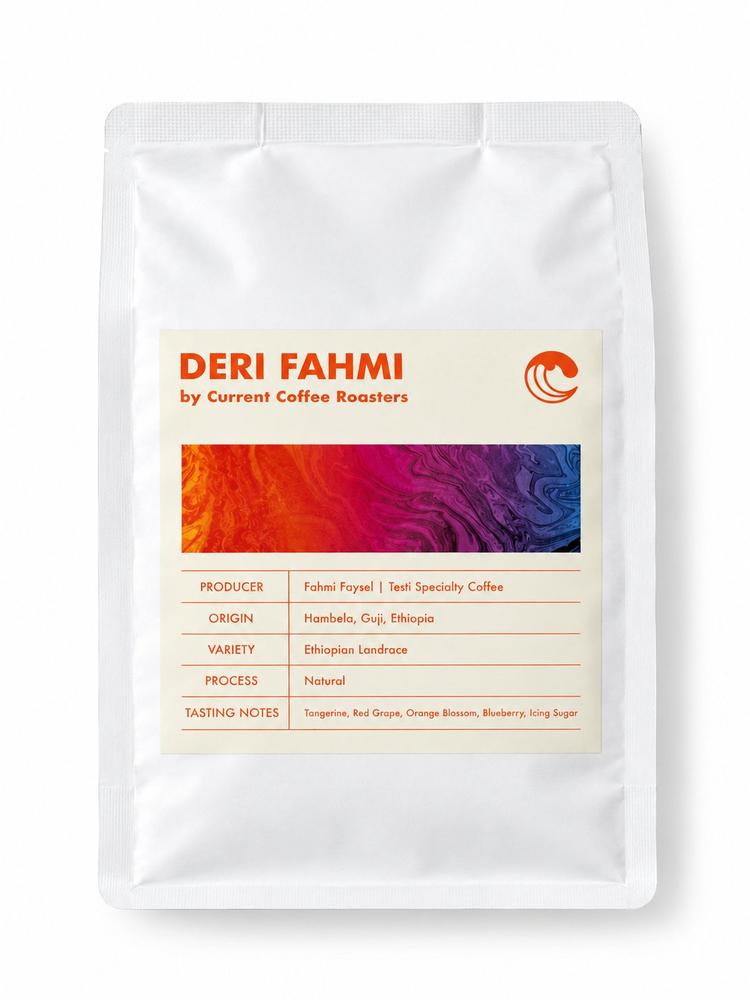 Deri Fahmi