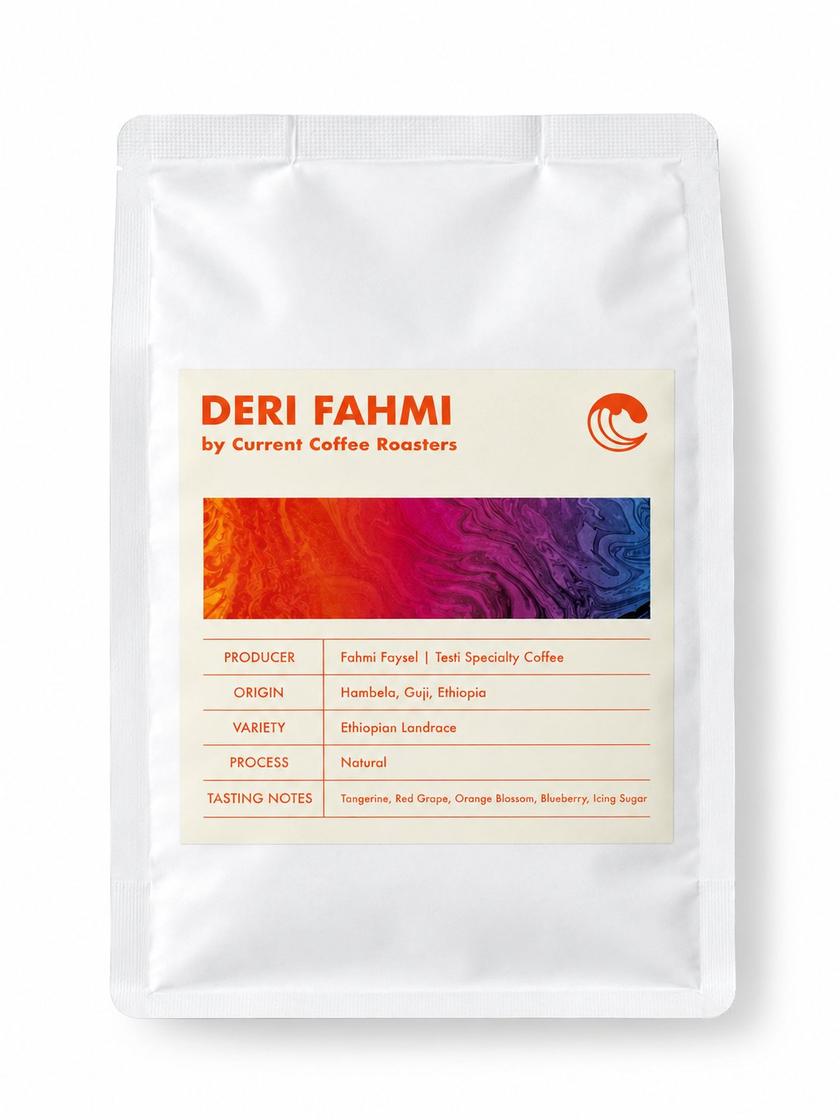 Deri Fahmi