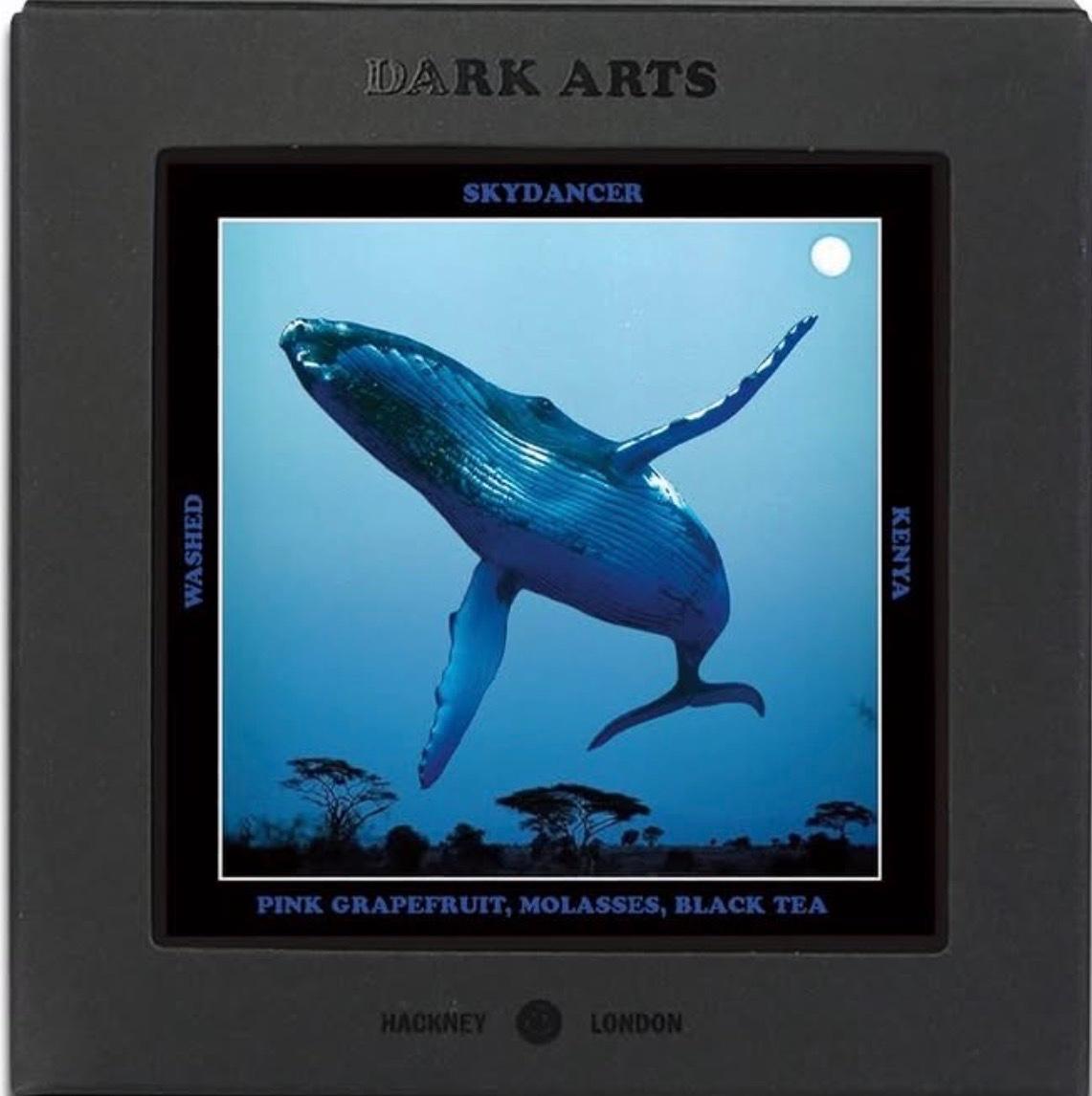 Skydancer