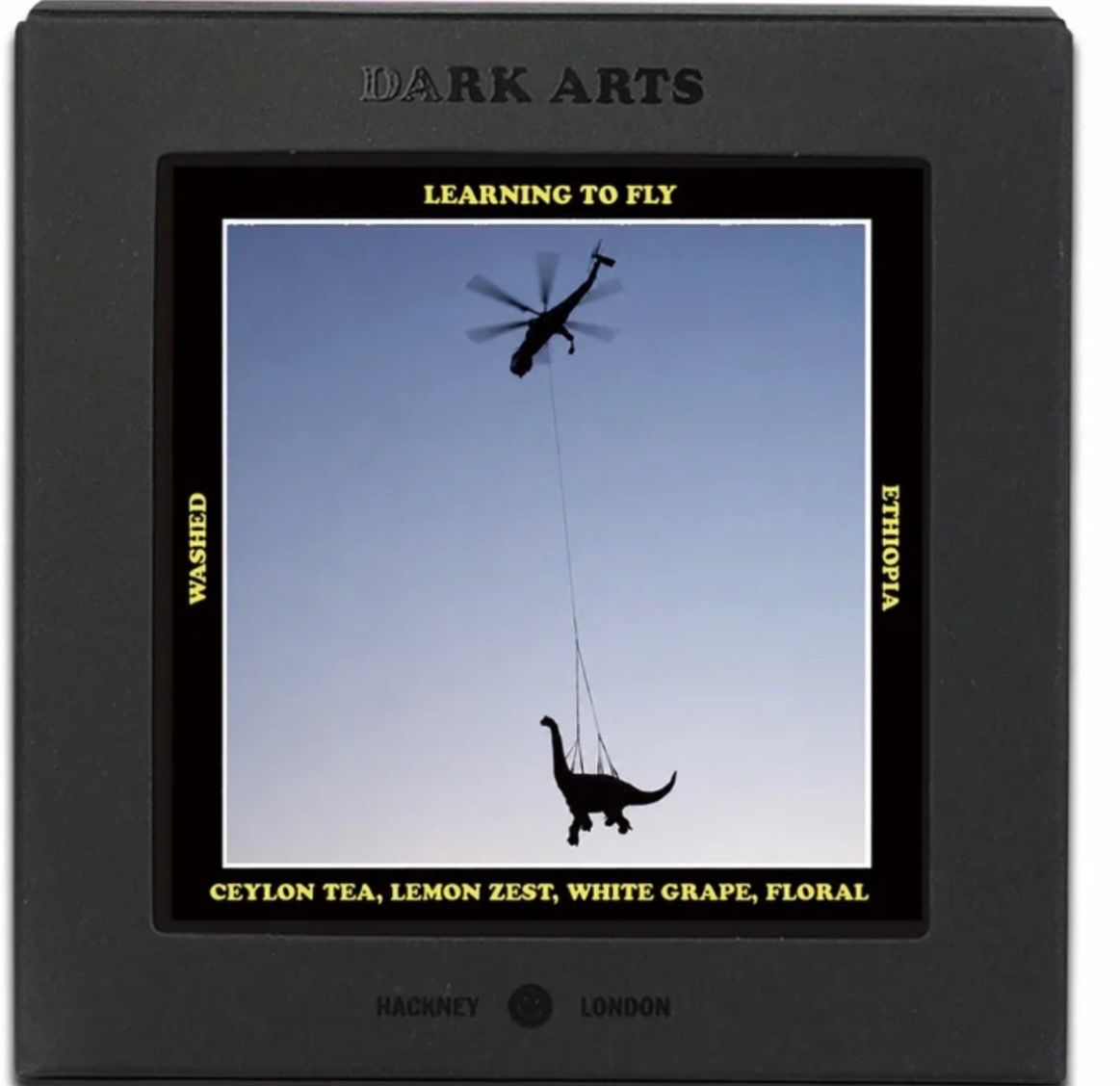 Learning to Fly