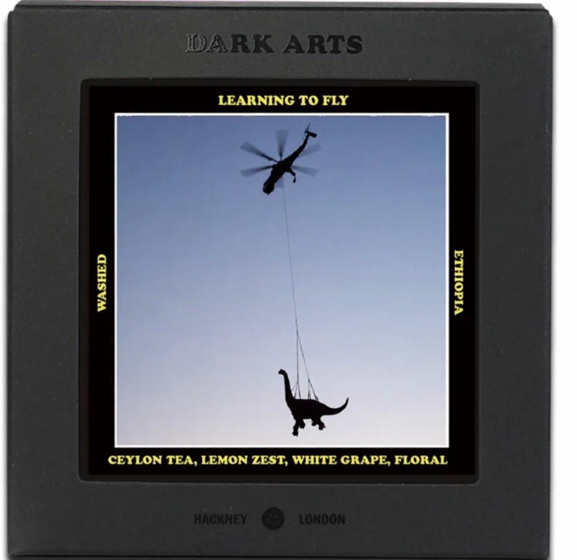 Learning to Fly